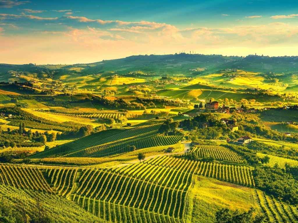 Piemonte: vigneti nelle Langhe